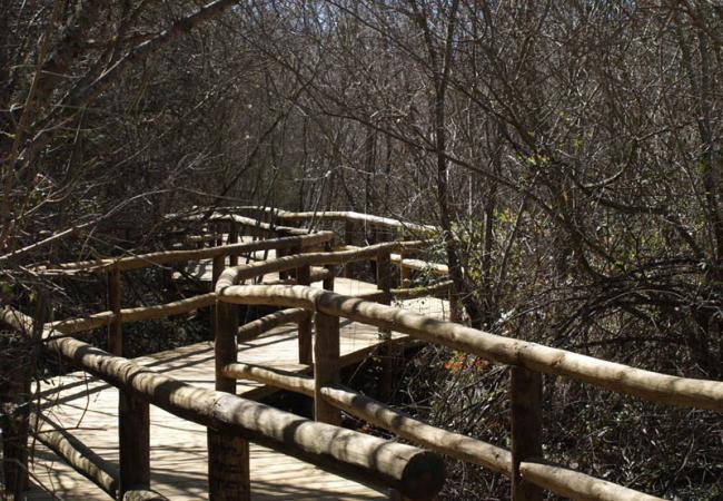 area-recreativa-pantano