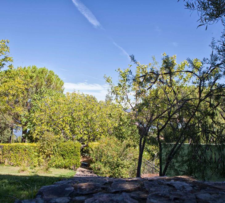 HORIAGUA I y II jardines